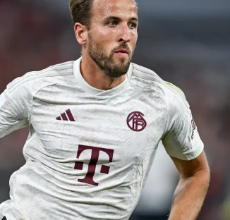 未来发展方 未来发展方